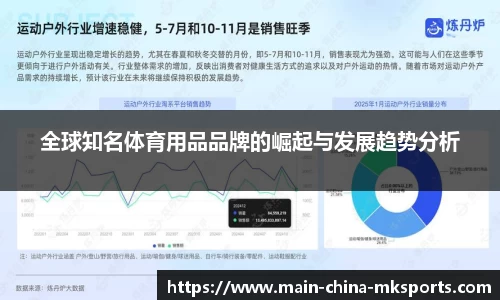 全球知名体育用品品牌的崛起与发展趋势分析